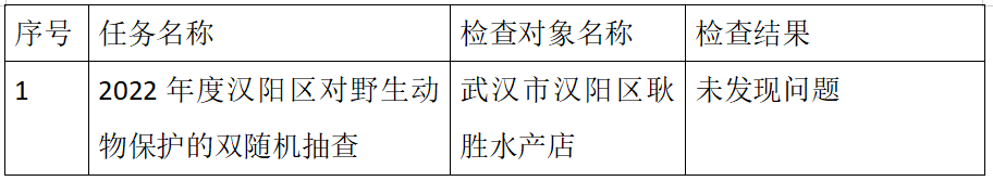 环球国际
