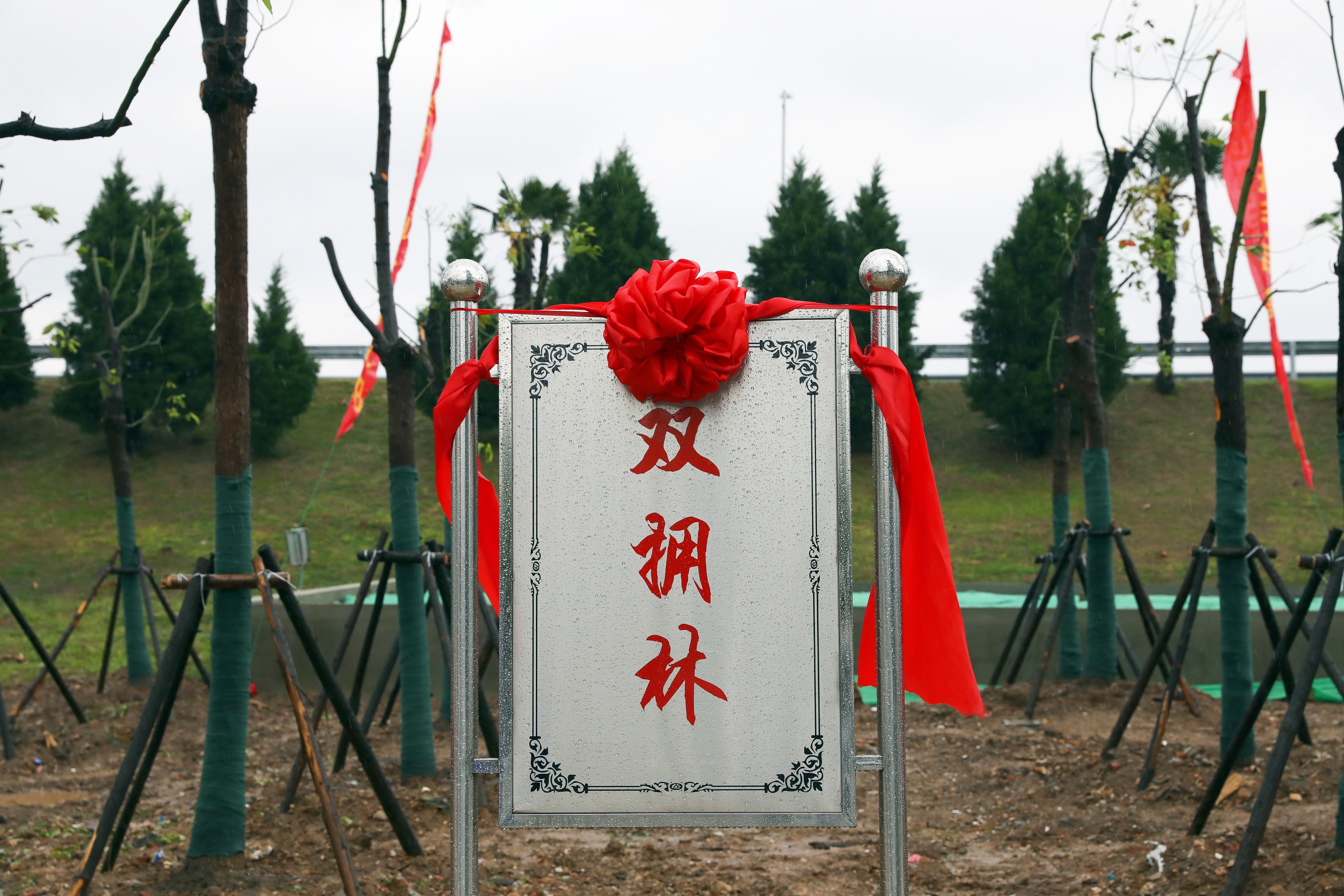 环球国际