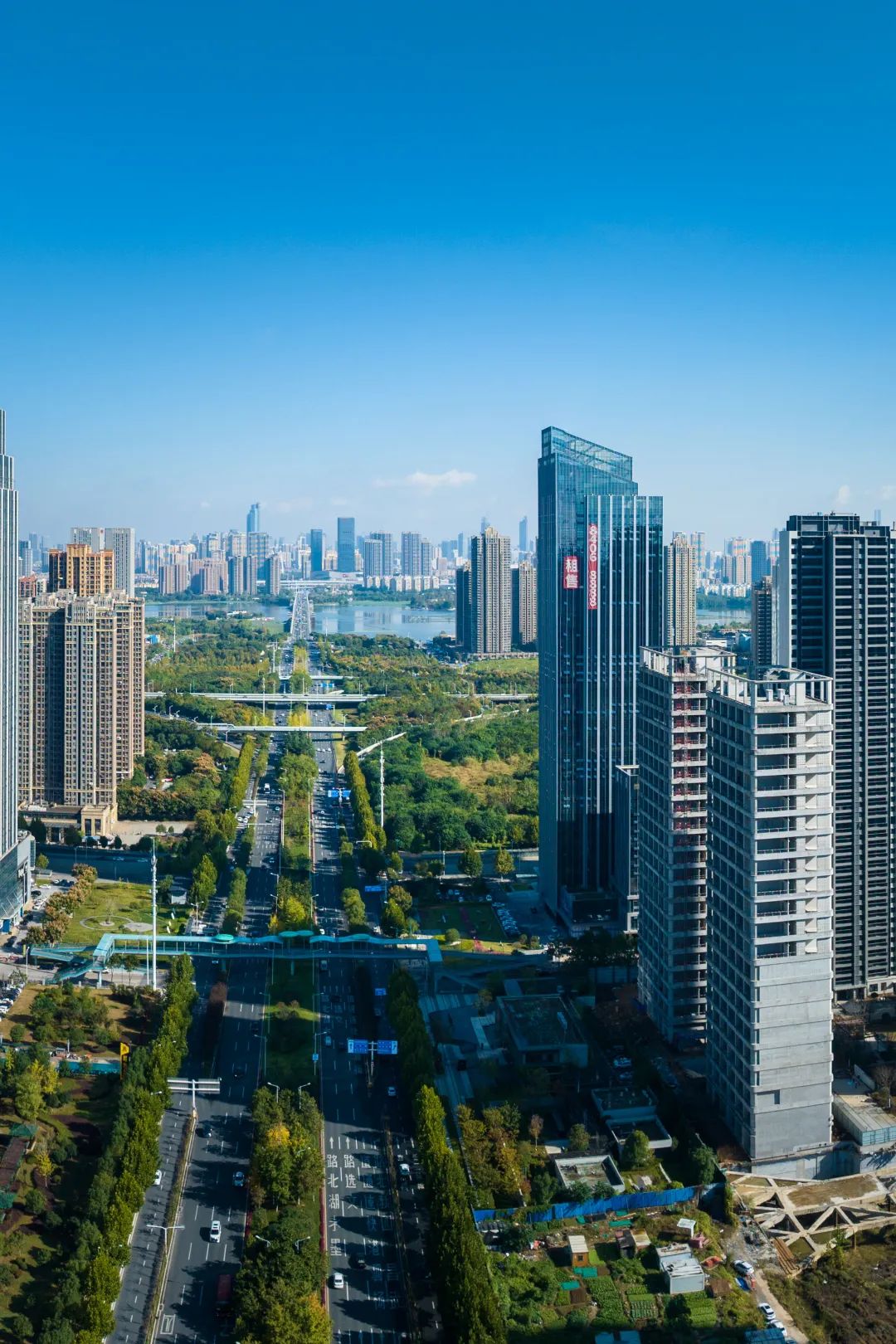 环球国际