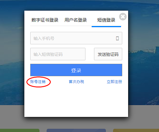 环球国际