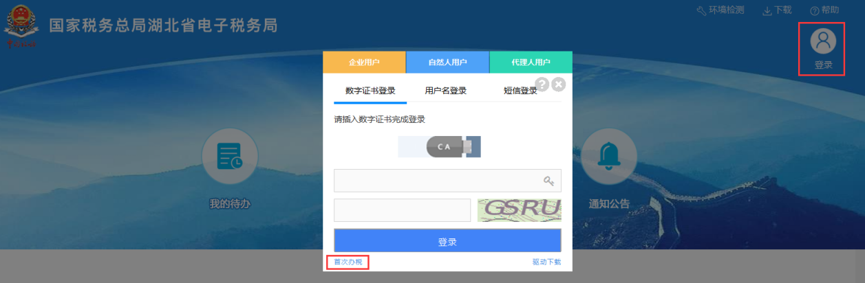 环球国际
