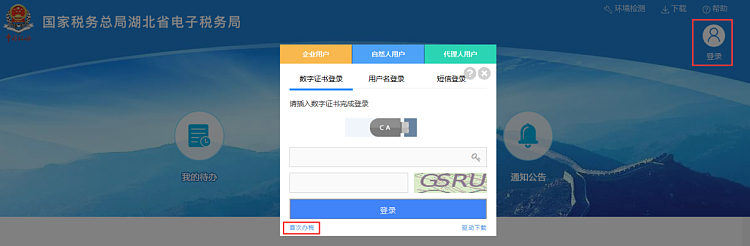 环球国际